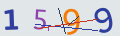 verifycode